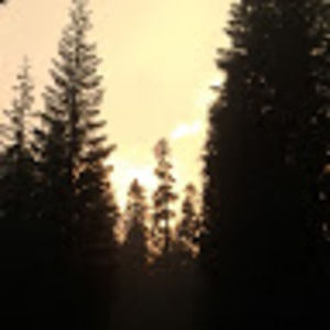 Meet your Posher, Bianca